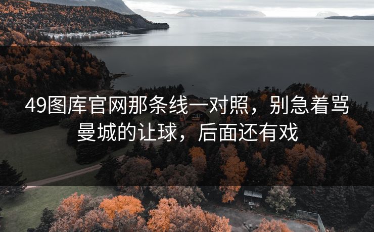 49图库官网那条线一对照，别急着骂曼城的让球，后面还有戏